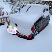 雪〜降った⛄️積もった