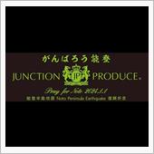 JUNCTIONPRODUC ...