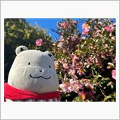 いろいろあって　午後から