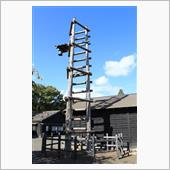 【松前藩屋敷で江戸時代にタイ ...
