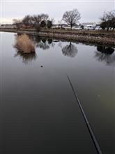 柴山沼でワカサギ狙い