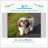 祝・みんカラ歴16年！