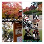 古い町並 　三町　伝統的建造 ...