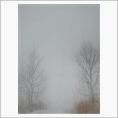 雪で