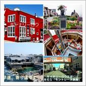 西海岸カリフォルニア州 モン ...