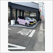 新型ディズ