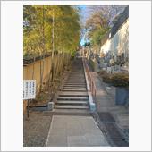 大坊の女坂　池上本門寺辺り（ ...