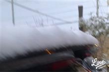 降ったね雪＠仙台