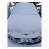 雪～(ﾟ∀ﾟ)