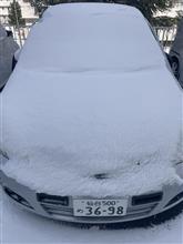 雪～(ﾟ∀ﾟ)