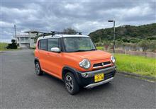 （続き）次の日へ→喜界島から、奄美大島へ