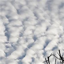 スペースシャトル オービター 主翼取り付け スペースシャトル オービター 主翼取り付け