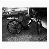 今年は年初から自転車整備が捗 ...