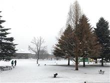軽井沢は大雪！