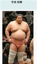 帰ってきた大相撲