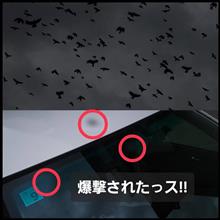 240122　敵機が (ﾟ◇ﾟ)ｶﾞｰﾝ･･･