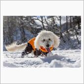 岐阜県で雪遊び(*^^*)　 ...