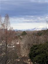 コロナ後の卓球再開