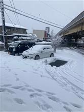 福井市　雪　2024.1.24