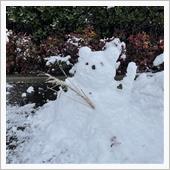 岐阜羽島は大雪！【掲載記事情 ...