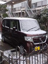 愛知も雪