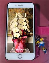 iPhone7Plus 