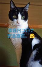 半月にて感染対策を終えました。