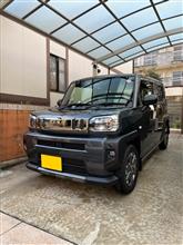 タフト洗車