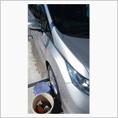 久しぶりの洗車