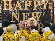 のんびり過ごした年末年始 のんびり過ごした年末年始