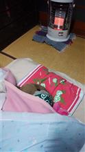 オイラは寝坊助だぁ！････