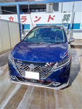 今年初めての洗車。