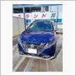 今年初めての洗車。