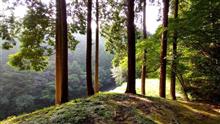 週末日記137 ～ 週替わりメニュー山歩き２連発⛰️ ～