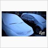 この前降った雪