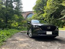 乗ってて楽しい！楽ちん