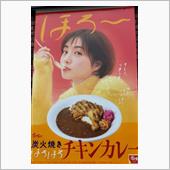 好きです！すき家さんのチキン ...