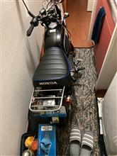 ゴリラくんがお出迎え♪