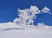 1/24(Day-2)_北海道SKI_ニセコアンヌプリ_23/24_SKI備忘録-8