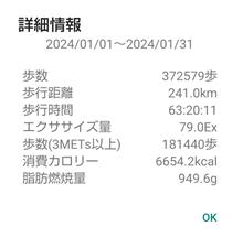 １月の運行記録？自己歩数です！