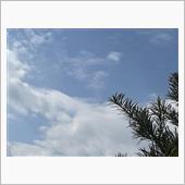 今日から２月