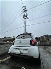 ずっと降ってる・・・
