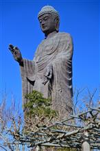 世界一の大仏様　その1