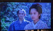 やっと、見始めた。