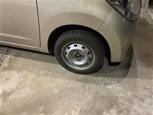 週明けは雪予報なので