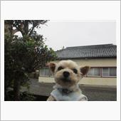 雨天中止☔