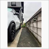 ボチボチやるか