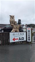 静岡県掛川市　掛川花鳥園訪問