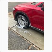 洗車しました。