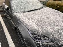 積雪…1mm？